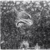 Image 1 : MINOR WHITE (American, 1908-1976) DEAD SNAKE, LOBOS STATE PARK, CALIFORNIA titled, dated and sign...