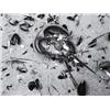 Image 1 : BRETT WESTON (American, 1911-1993) DEAD HORSESHOE CRAB signed and dated “Brett Weston 1945” in pe...