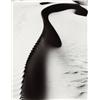 Image 1 : BRETT WESTON (American, 1911-1993) DUNE, OCEANO signed and dated “Brett Weston 1934” in pencil be...