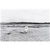 Image 1 : HENRY WESSEL, JR. (American, b. 1942) SIX PHOTOGRAPHS each signed “Henry Wessel, Jr.” in pencil o...