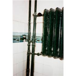 WILLIAM EGGLESTON (American, b. 1939) BERLIN (FROM THE DEMOCRATIC FOREST SERIES) chromogenic colo...