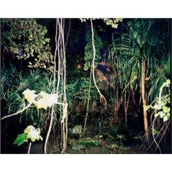 RICHARD MISRACH (American, b. 1949) THREE IMAGES FROM ‘HAWAII’ PORTFOLIO (1980) ROMAN FORUM, ITAL...