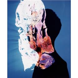 adam fuss (British, b. 1961) untitled unique Cibachrome photogram 237?8 x 193?4 in. (60.6 x 50.2 ...