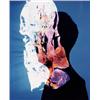 Image 1 : adam fuss (British, b. 1961) untitled unique Cibachrome photogram 237?8 x 193?4 in. (60.6 x 50.2 ...