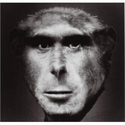 NANCY BURSON (American, b. 1948) EVOLUTION II titled, dated and signed in black ink below image o...