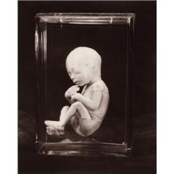 GWEN AKIN and ALLAN LUDWIG (American, b. 1950 and b. 1937) FOUR PHOTOGRAPHS each print signed by ...