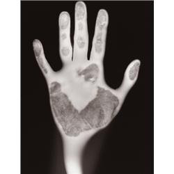 GARY SCHNEIDER (American, b. South Africa, 1954) DENISE titled, dated, editioned and signed in pe...