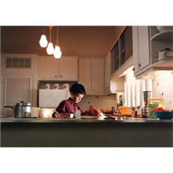 PHILIP-LORCA DICORCIA (American, b. 1953) BRIAN signed, dated and editioned in black ink on verso...