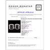 Image 3 : 14K White Gold 1.47ctw Fancy Color Diamond Earring