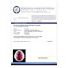 Image 4 : 18K Gold 9.33ct Rubellite & 3.11ctw Diamond Ring