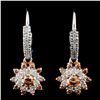 14K Gold 0.92ctw Diamond Earrings