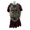 Image 3 : Immortals Hoplite General (Roc LaFortune) Movie Costumes
