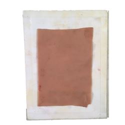 Resident Evil 6 Dr. Isaacs (Iain Glen) Skin Graft Movie Props