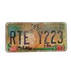 Image 1 : Resident Evil: The Final Chapter  Screen Used License Plate Movie Props