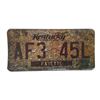 Image 1 : Resident Evil: The Final Chapter  Screen Used License Plate Movie Props