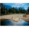 Image 1 : STEPHEN SHORE (American, b. 1947) MERCED RIVER, YOSEMITE PARK, CAlifornia signed Galerie Conrads ...