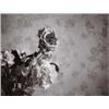 Image 1 : ROBERT MAPPLETHORPE (American, 1946-1989) ROSE gelatin silver Polaroid print image: 27?8 x 33?4 i...