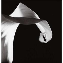 ROBERT MAPPLETHORPE (American, 1946-1989) CALLA LILLY titled, editioned and signed in black ink o...
