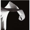 Image 1 : ROBERT MAPPLETHORPE (American, 1946-1989) CALLA LILLY titled, editioned and signed in black ink o...