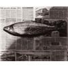 Image 1 : ROBERT MAPPLETHORPE (American, 1946-1989) FISH editioned, signed and dated “3/3 Robert Mapplethor...