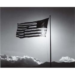 ROBERT MAPPLETHORPE (American, 1946-1989) FLAG numbered, titled, dated and editioned “1750, Flag,...