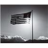 Image 1 : ROBERT MAPPLETHORPE (American, 1946-1989) FLAG numbered, titled, dated and editioned “1750, Flag,...