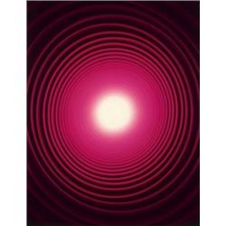 ADAM FUSS (British, b. 1961) UNTITLED unique Cibachrome photogram 64 x 491?2 in. (163 x 125.7 cm)...