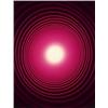 Image 1 : ADAM FUSS (British, b. 1961) UNTITLED unique Cibachrome photogram 64 x 491?2 in. (163 x 125.7 cm)...