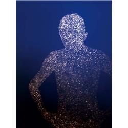 CHRISTOPHER BUCKLOW (British, b. 1957) GUEST unique Cibachrome photogram 38 x 281?2 in. (96.5 x 7...