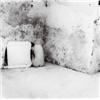 Image 1 : FRANCESCA WOODMAN (American, 1958-1981) SELF-DECEIT, ROME, 1978-79 titled, editioned, dated and s...