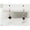 Image 1 : #40-14K YELLOW GOLD BLACK DIAMOND HOOP EARRINGS