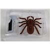 Image 1 : NEW INFRARED REMOTE CONTROLLED SPIDER