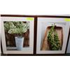 Image 1 : SET OF 2 RESTAURANT PICTURES FRAMED