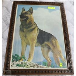FRAMED GERMAN SHEPHARD PICTURE 19"X26"