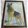 Image 1 : FRAMED GERMAN SHEPHARD PICTURE 19"X26"