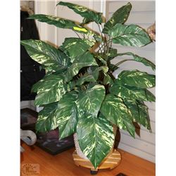 ARTIFICIAL DIEFFENBACHIA PLANT ON WHEELED