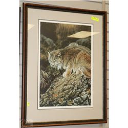 DARREN HALEY LTD ED SIGNED PRINT