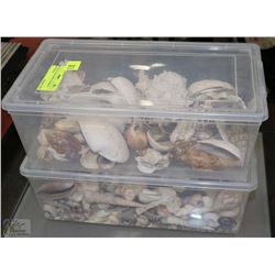 SET OF 2 CONTAINERS OF WORLD SEA SHELLS