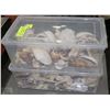 Image 1 : SET OF 2 CONTAINERS OF WORLD SEA SHELLS