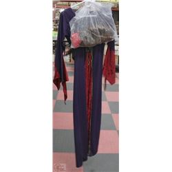 MEDIEVAL HALLOWEEN COSTUME W/WIG &
