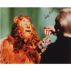 Wizard of Oz: Munchkins