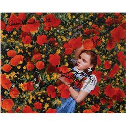 Wizard of Oz: Munchkins