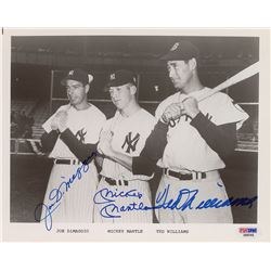 DiMaggio, Mantle, and Williams
