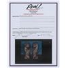 Image 2 : Pink Floyd Signed ‘Division Bell’ CD: Wright, Gilmour, Mason