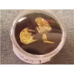 GOLD PIECES - UNTESTED - 5.3GM