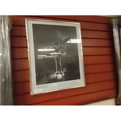 PICTURES - 2 TTL