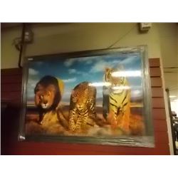 PIC - LIONS