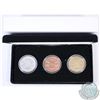 Image 1 : 1997 City of Scarborough "Home Above the Bluffs" Chamber of Commerce 3-coin Medallion Set in Silver,