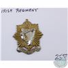Image 1 : Irish Regiment Badge