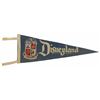 Image 1 : Magic Kingdom Crest Pennant .